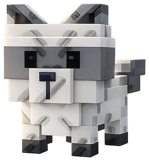 Raccoon